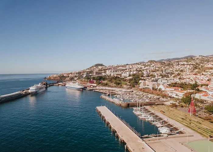 公寓 Feliz By Amazing Madeira 丰沙尔