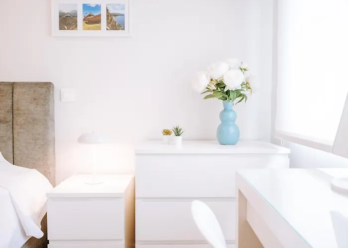 Feliz By Amazing Madeira *